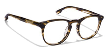 Load image into Gallery viewer, Rich Acetate JJ E10118 Unisex Eyeglasses