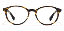 Load image into Gallery viewer, Rich Acetate JJ E10334 Unisex Eyeglasses