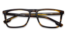 Load image into Gallery viewer, Rich Acetate JJ E10232 Unisex Eyeglasses
